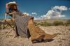 A person in a checked dress and cowboy hat sits on a wooden chair outdoors, wearing tan cowboy boots, with a desert landscape and blue sky in the background.