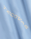 Closeup detail view of Men's Roadrunner T-Shirt - Chambray/Bone