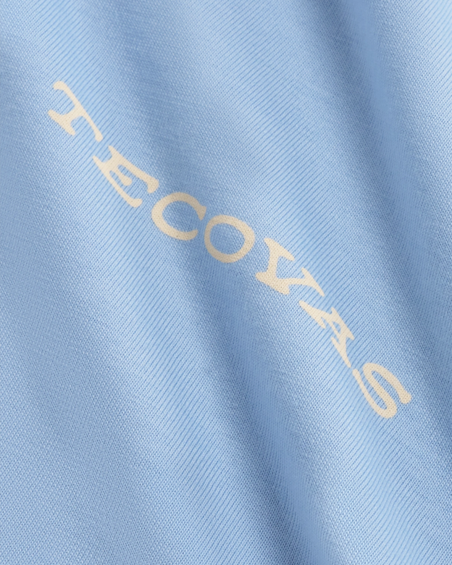 Closeup detail view of Men's Roadrunner T-Shirt - Chambray/Bone