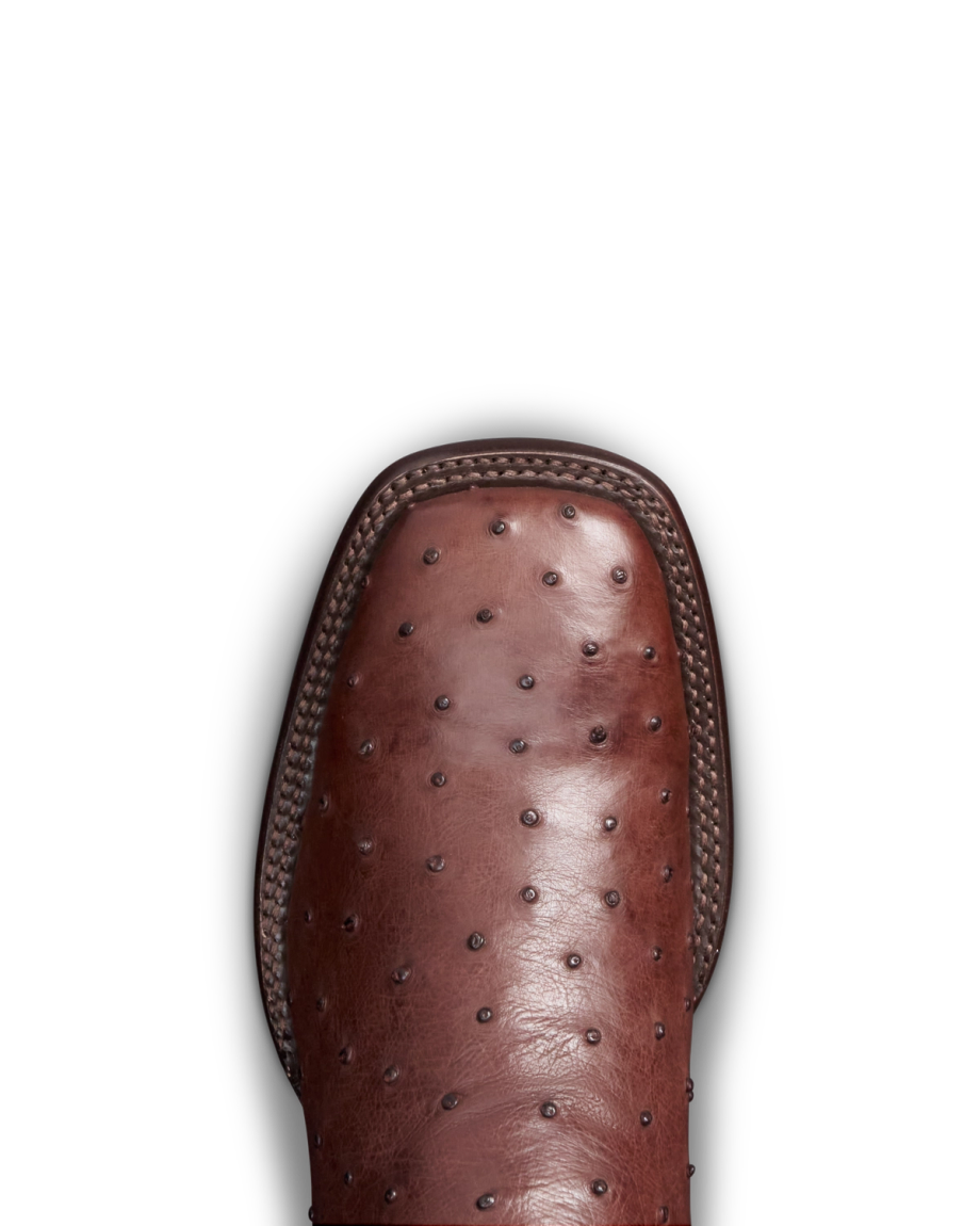 Toe view of The Emmitt II - Hazelnut / Denim on plain background