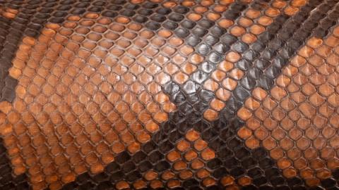 The Cartwright in Saddle Python - Men's Cowboy Boot | Tecovas