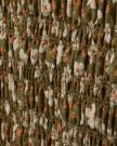 close up view of The Emma Dress by Kristopher Brock - Olive/Beige Floral Cotton Blend on plain background