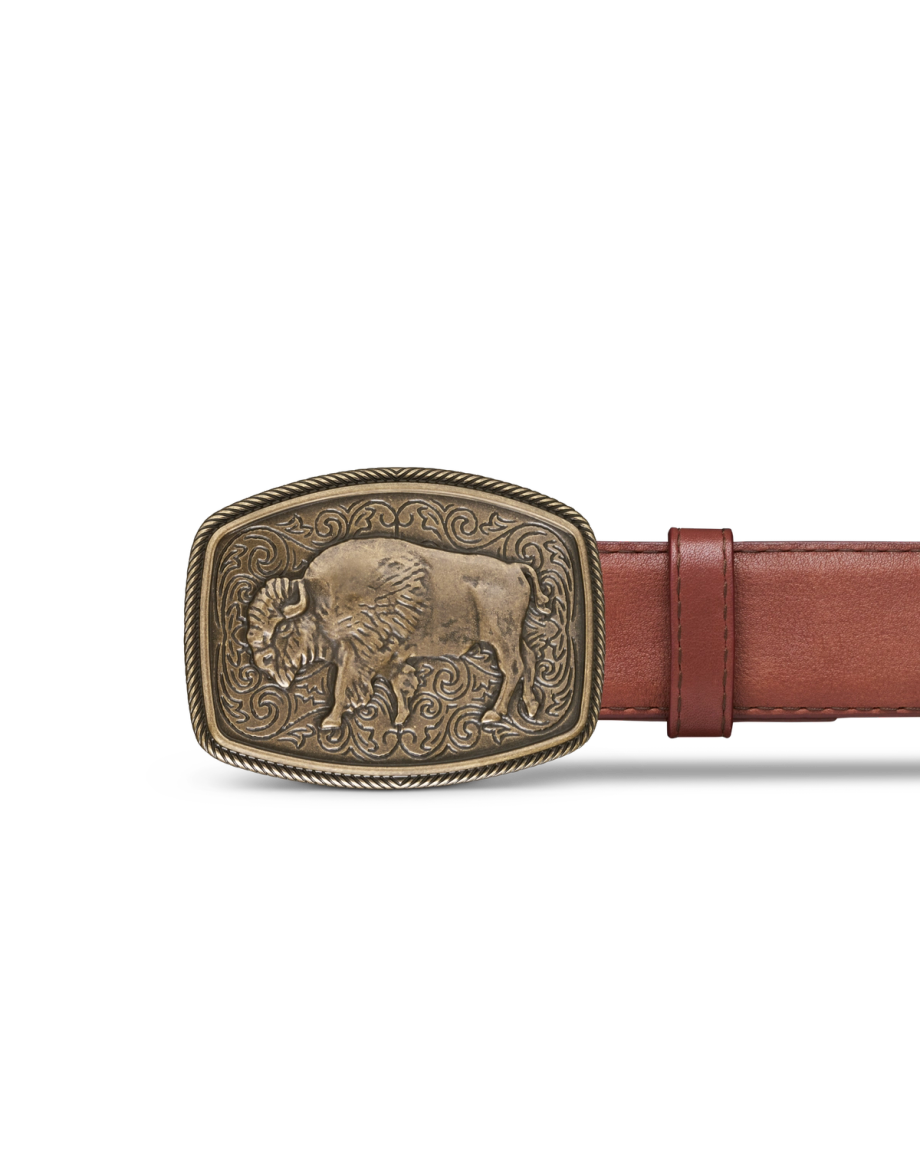 Closeup view of Bison Buckle - Antique Brass