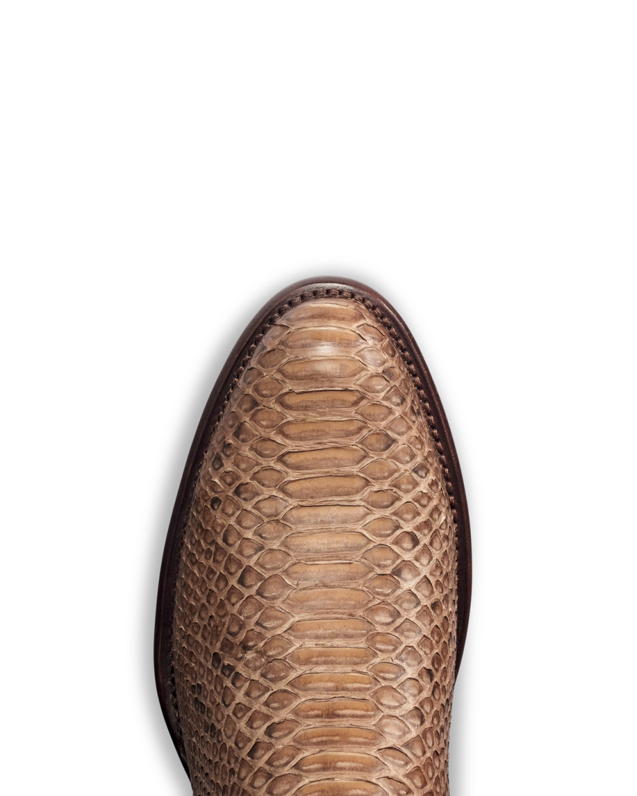 Toe view of The Earl - Ash Brown Python on plain background