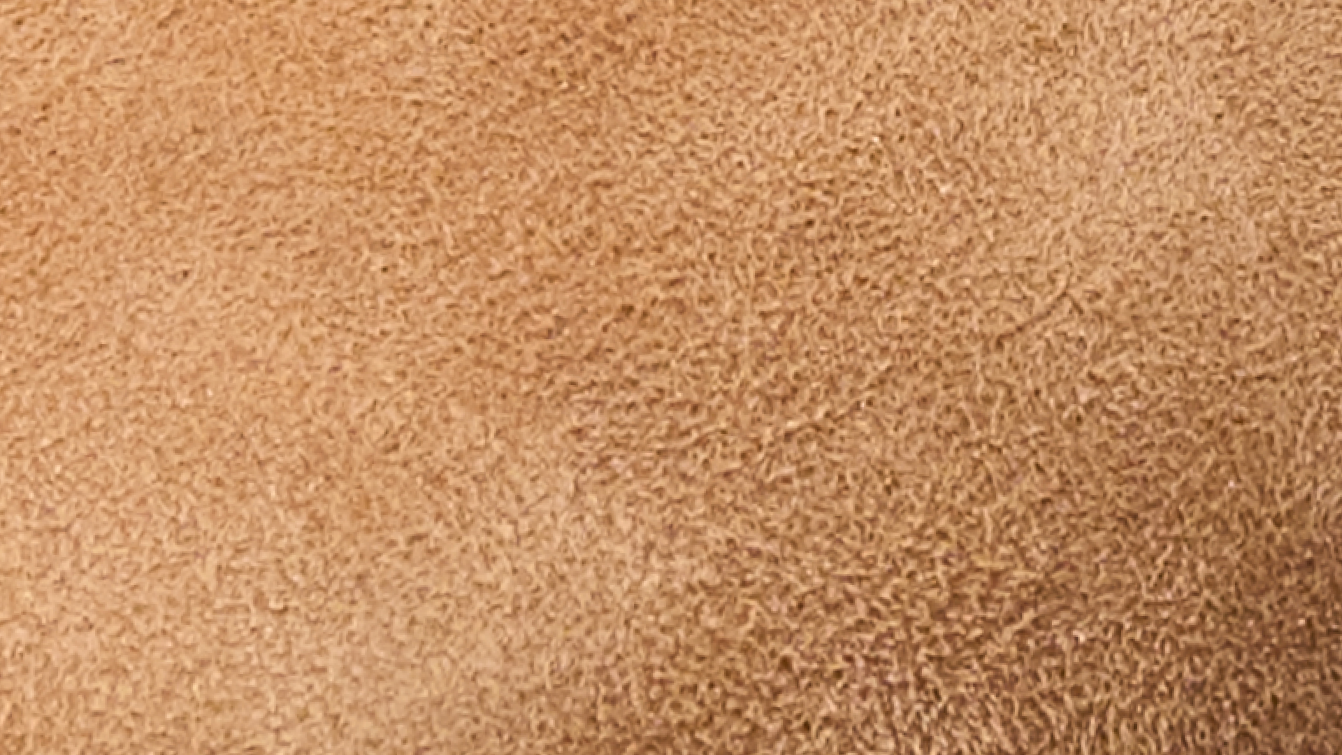 Close-up of brown textured surface, resembling suede fabric with a uniform, soft appearance.