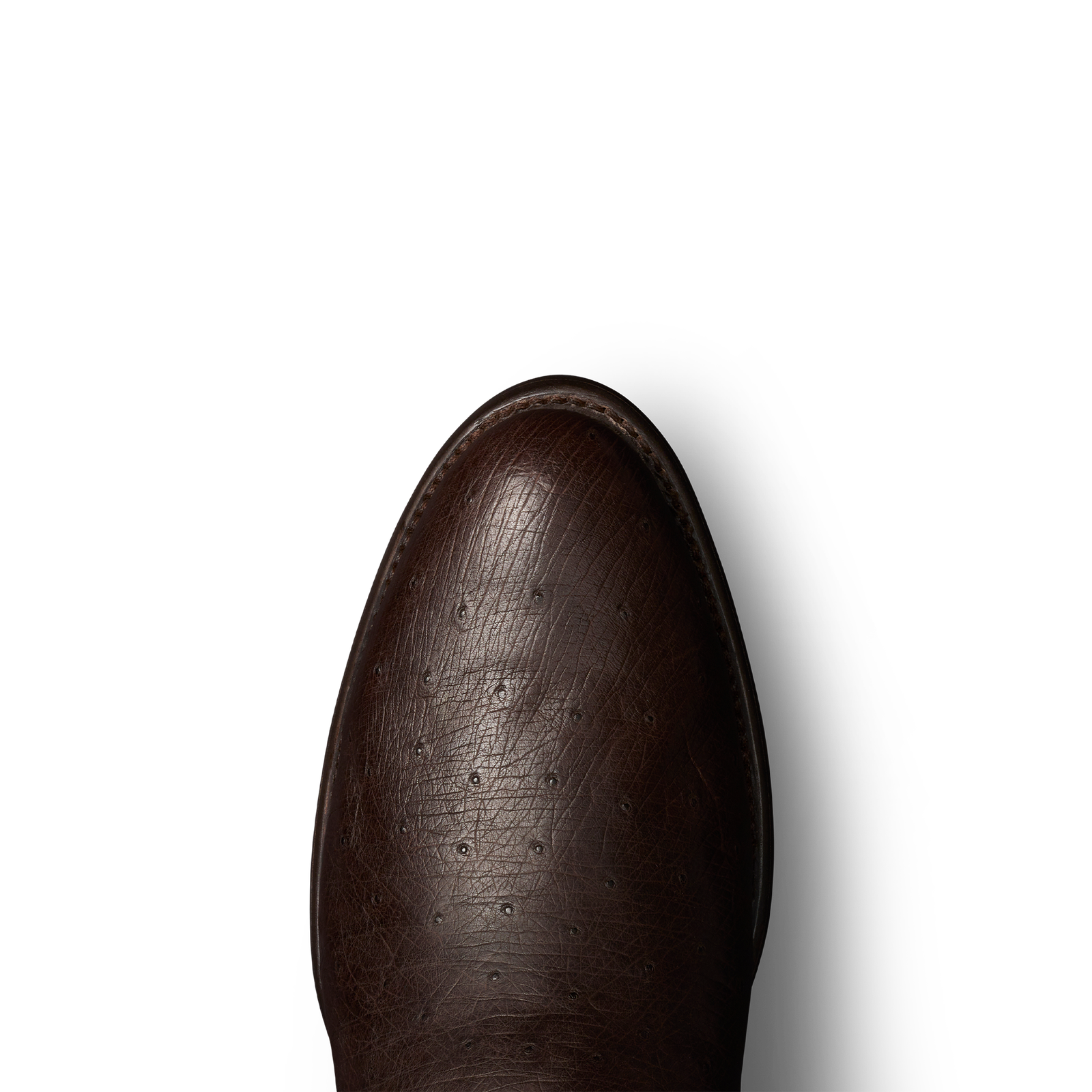 The Wade in Chocolate Smooth Ostrich - Men's Roper Boot | Tecovas