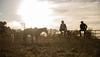 Two people sit on a fence at sunset with a horse standing nearby in a rural, grassy field.