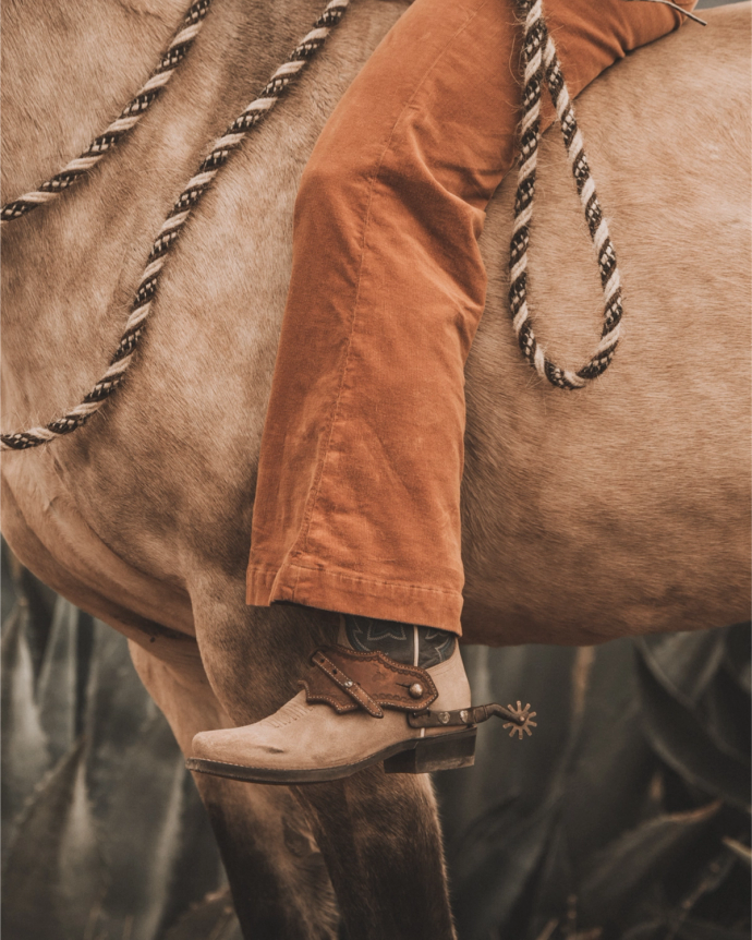 A person wearing orange pants and cowboy boots with spurs sits on a brown horse, with a black and white rope draped on the animal.