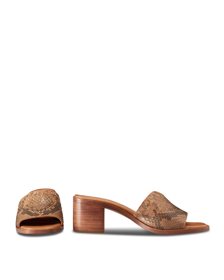 Pair view of The Carmen Paloma - Saddle on plain background