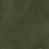 The product color Pine