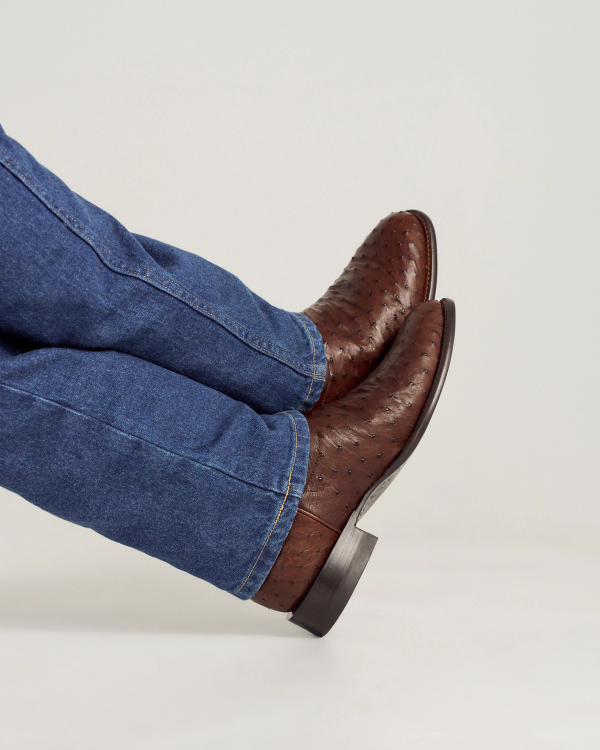 View of The Earl - Hazelnut Ostrich