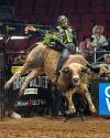 A bull rider holds on as a bull jumps in midair during a rodeo event; spectators watch from the stands in the background.