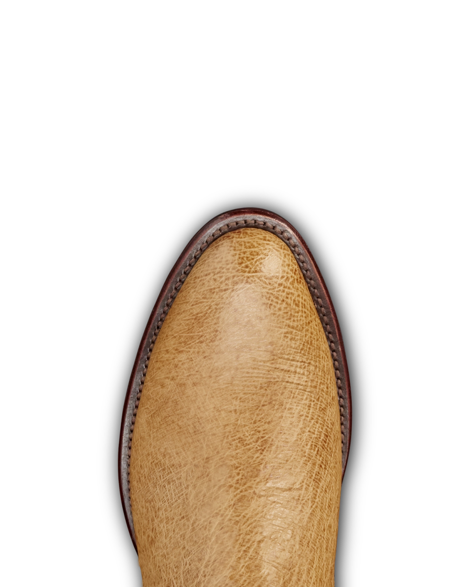 Toe view of The Weston - Cedar / Red Ostrich on plain background