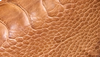 Closeup of Ostrich Leg Material