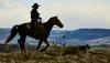 Cowgirl on a horse in wide open