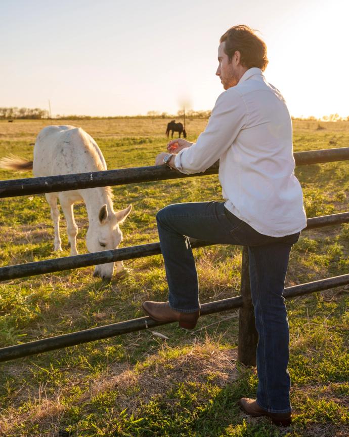 Man leaning on fence next to cows