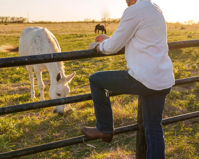 Man leaning on fence next to cows
