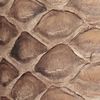 The product color Ash Brown