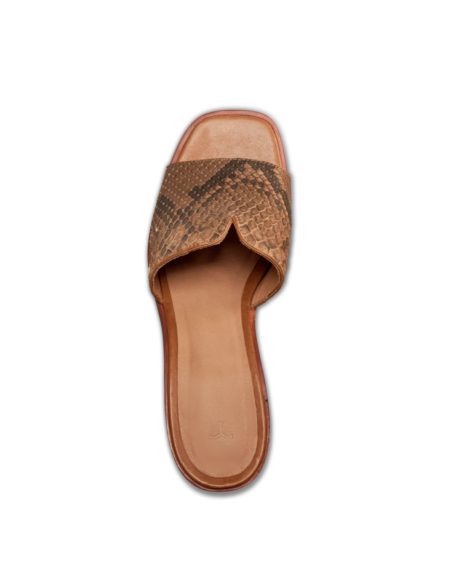 Full view of The Carmen Paloma - Saddle on plain background