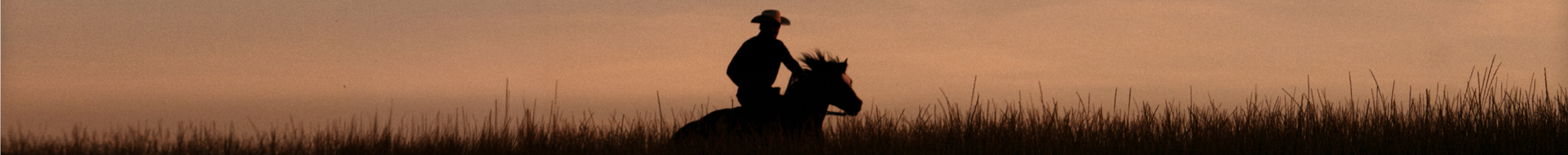 A silhouette of a person on horseback riding through tall grass at sunset.