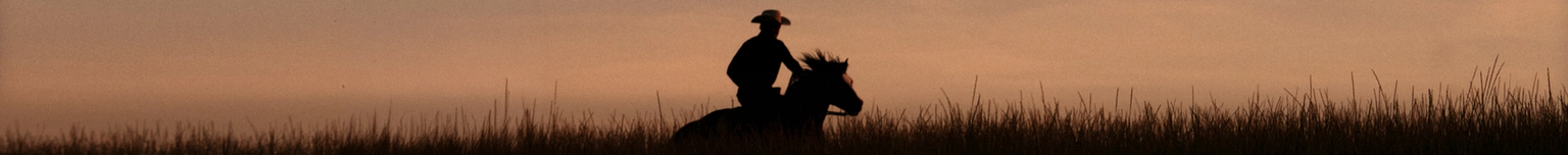 A silhouette of a person on horseback riding through tall grass at sunset.
