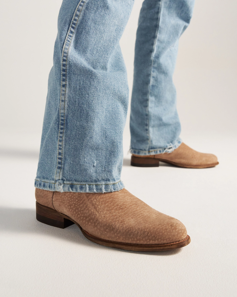 View of The Earl - Sandstone Carpincho