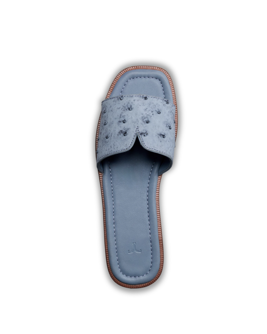 Full view of The Carmen - Chambray on plain background