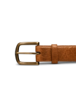 Front view of Men's Bison Belt II - Tan on plain background