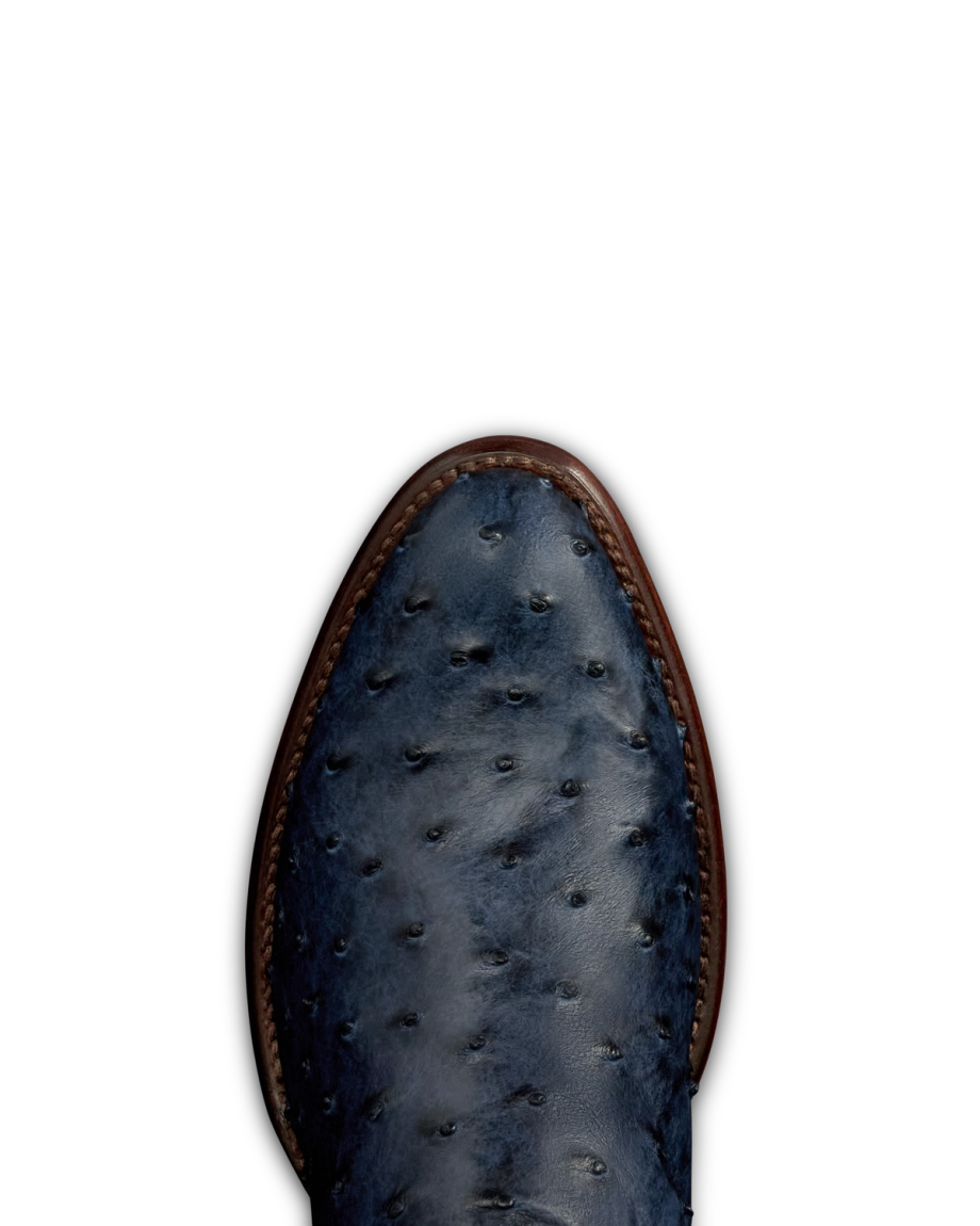 Toe view of The Wyatt - Atlantic Blue Ostrich on plain background