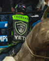 A rodeo rider wearing a helmet and vest branded "Austin Gamblers" and "YETI" prepares to ride a bull. The vest also features "TECOVAS" branding in large text.