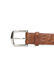 Front view of Men's Ostrich Belt II - Pecan on plain background