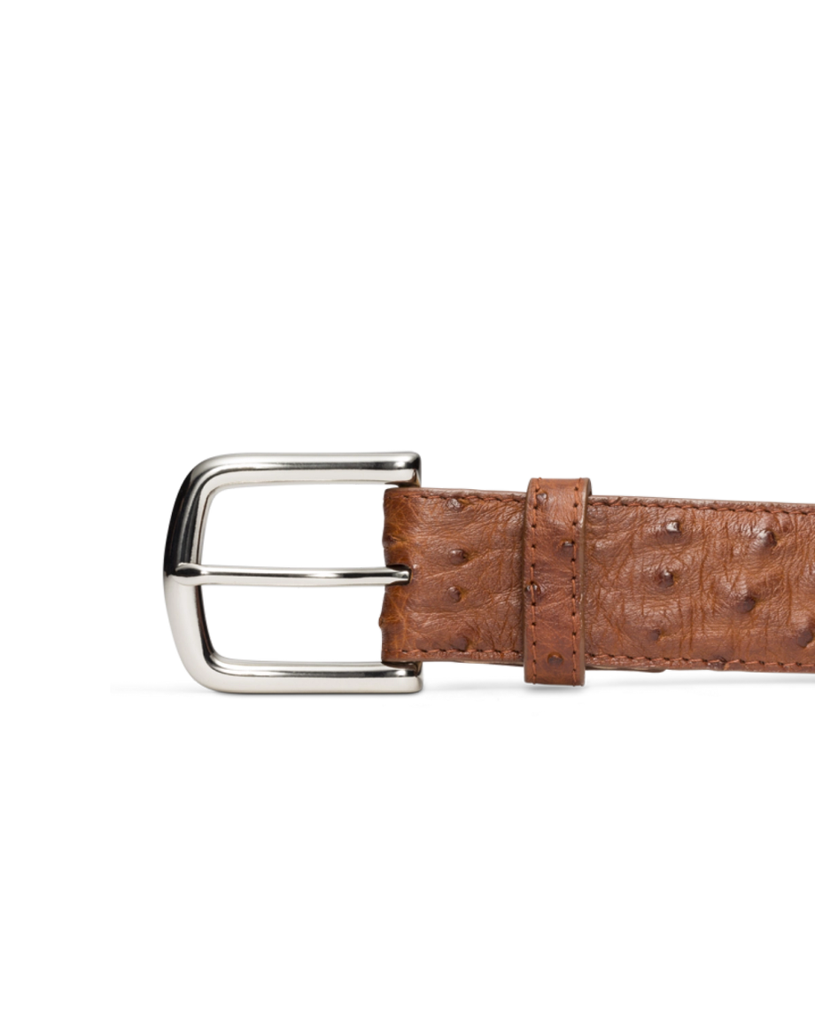 Front view of Men's Ostrich Belt II - Pecan on plain background