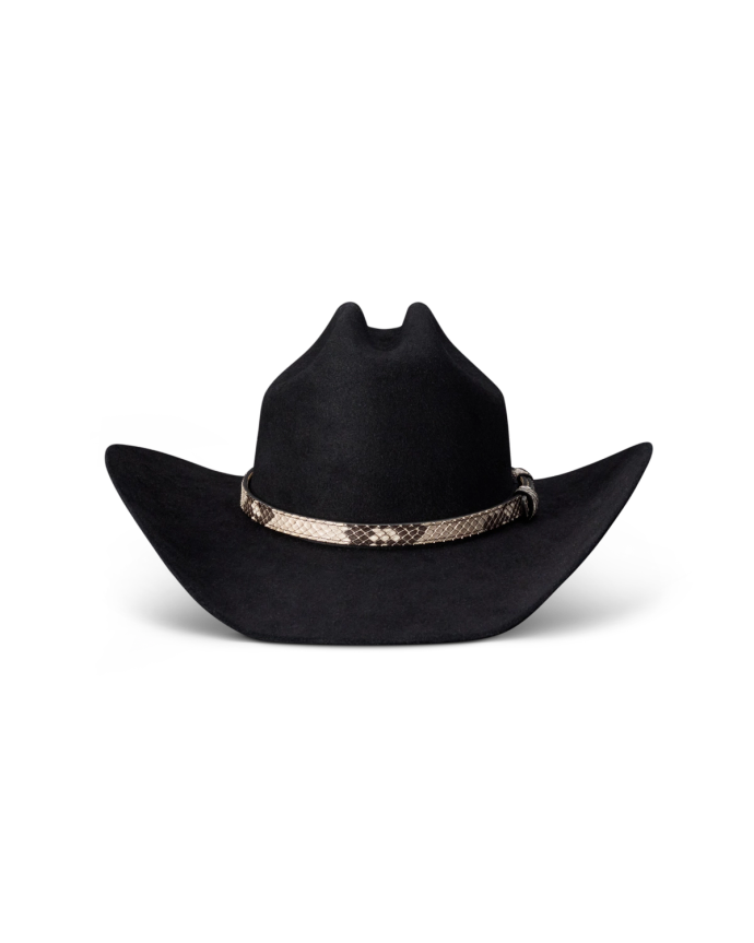 Back view of Hat Band - Black Bone on plain background