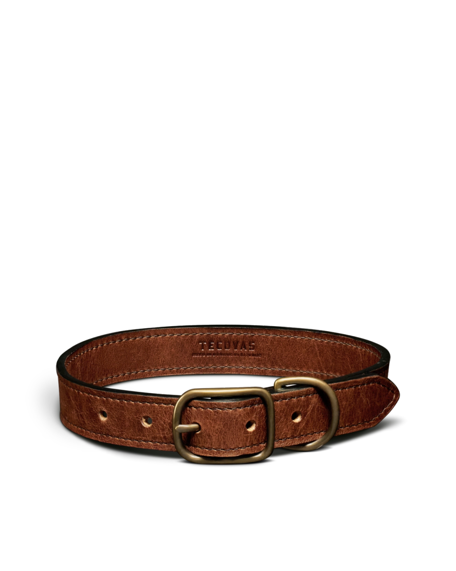 Closeup detail view of Leather Dog Collar - Cognac