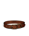 Closeup detail view of Leather Dog Collar - Cognac
