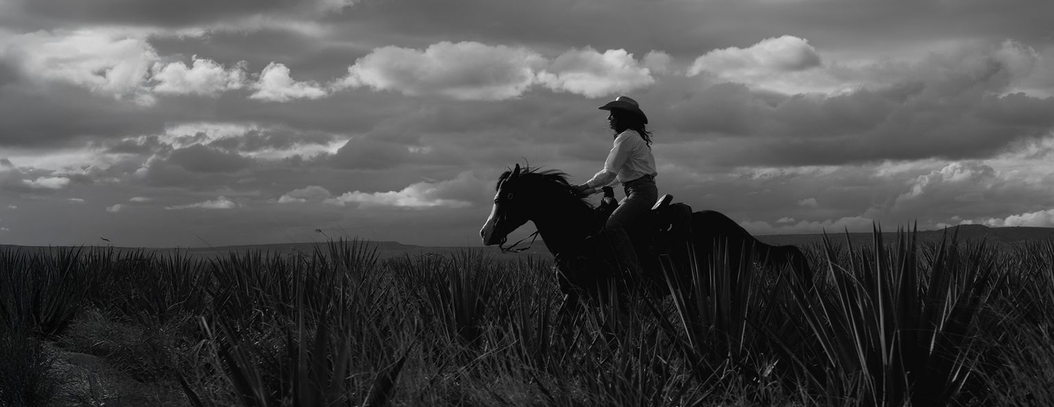 A person wearing a hat rides a horse through tall plants under a cloudy sky, shown in black and white.
