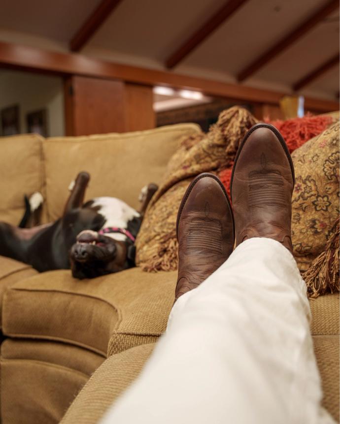 A close up of cowboy boots on a couch with a dog laying in the back.