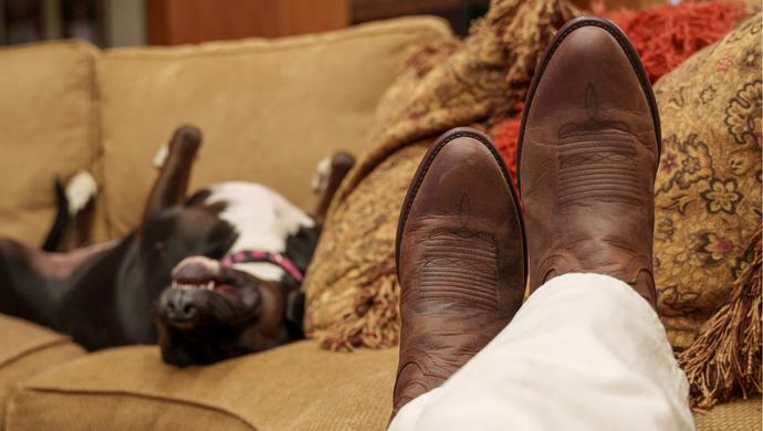 A close up of cowboy boots on a couch with a dog laying in the back.