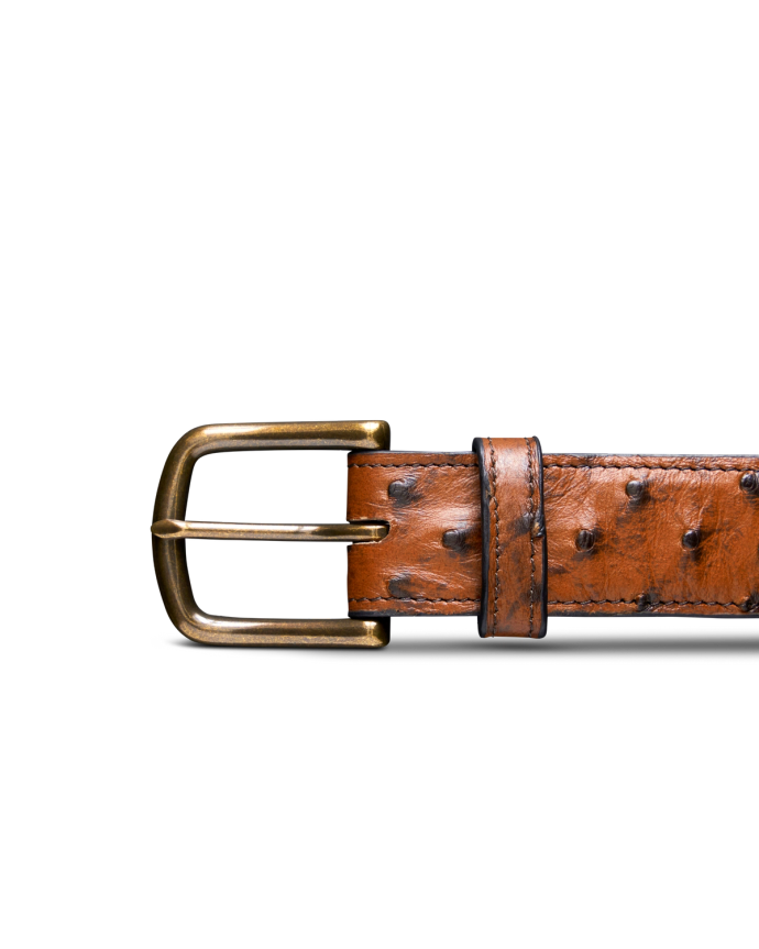 Front view of Men's Ostrich Belt II - Peanut on plain background