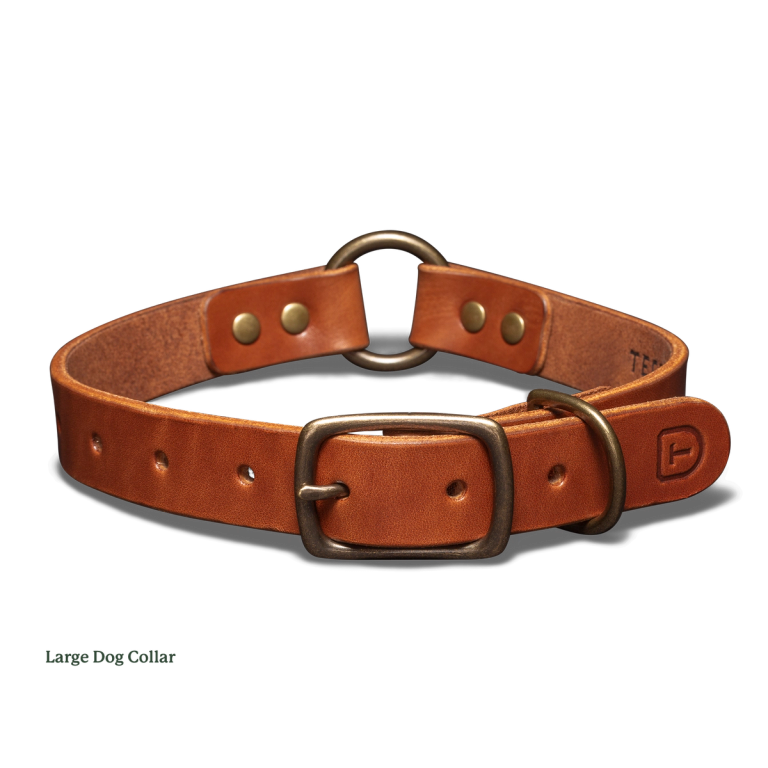 Design Your Dog's Rope Identification Day Collar