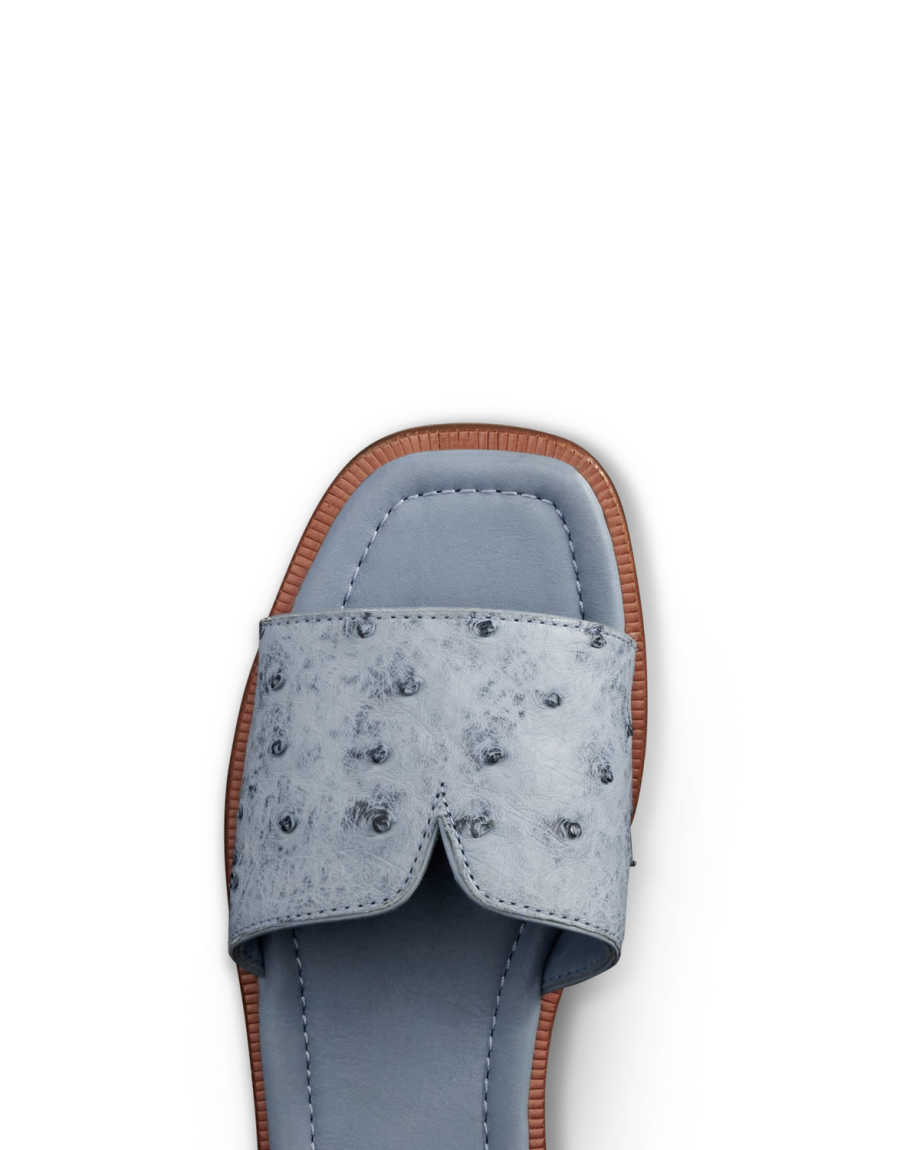 Toe view of The Carmen - Chambray on plain background