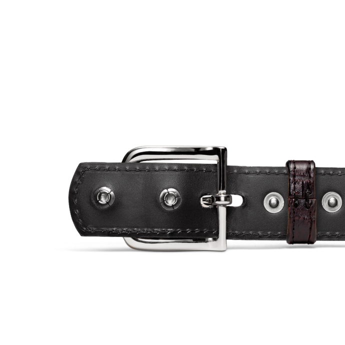 Front view of Men's Crocodile Belt - Black Cherry on plain background