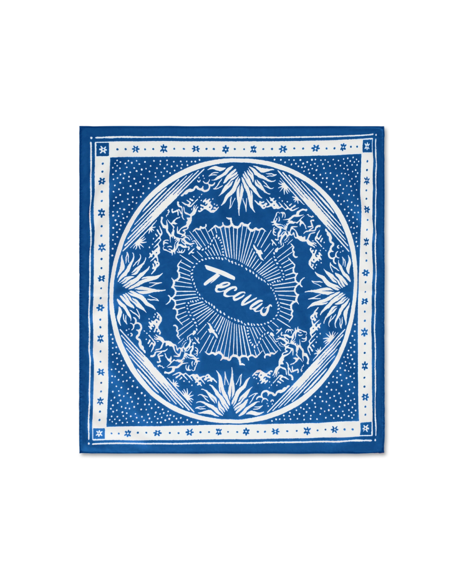 Front view of Gameday Bandana - Navy on plain background