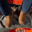  Man wearing The Midland Ochre boots