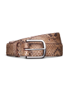 A brown snake skin patterned belt with a silver rectangular buckle, coiled neatly against a black background.