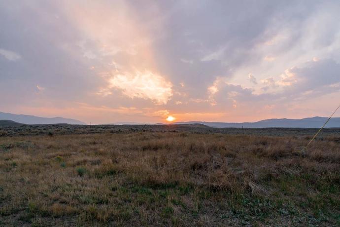 sunset over a field