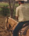 A man in a plaid shirt and cowboy hat riding a light brown horse in a fenced outdoor area.
