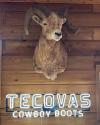 A mounted ram’s head is displayed on a wooden wall above a lit neon sign that reads “Tecovas Cowboy Boots.”.