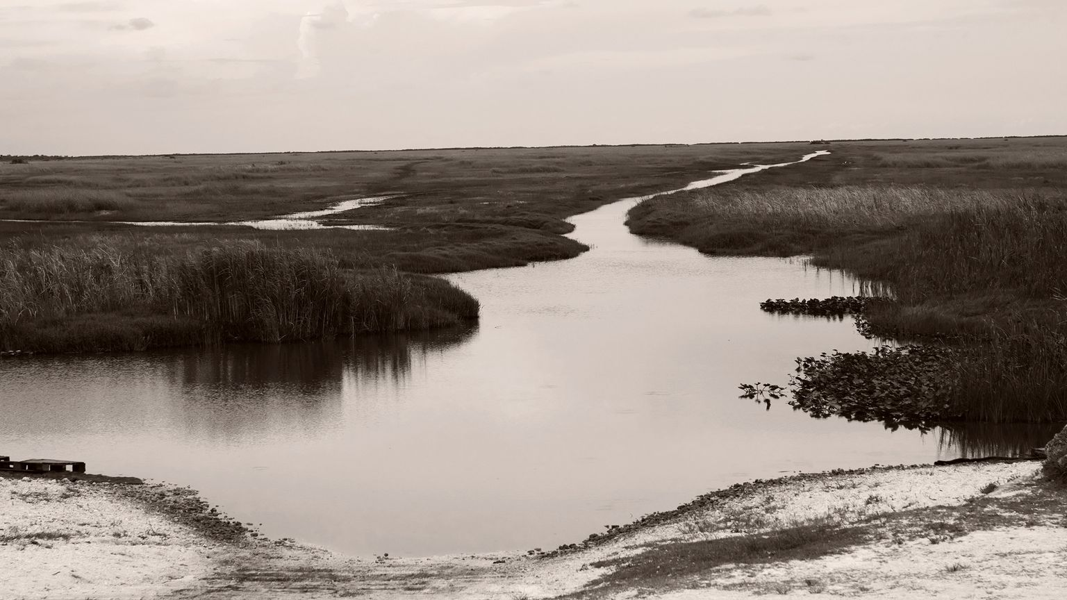 A narrow waterway winds through flat marshland under a cloudy sky, with tall grasses on either side and calm water reflecting the landscape.