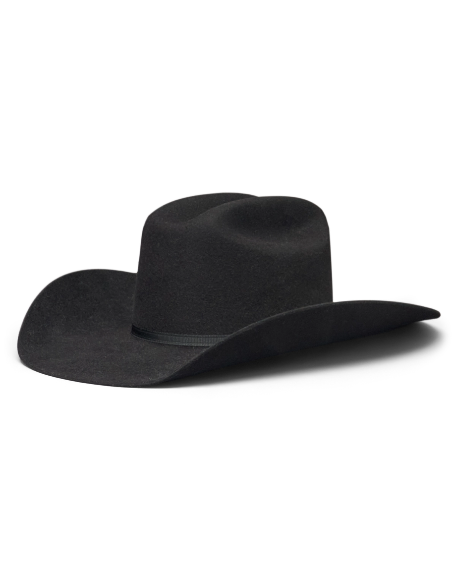 Wide-brimmed black cowboy hat made of felt, with a creased crown and a black hatband, shown against a plain white background.